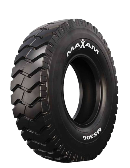 Maxam MS306+